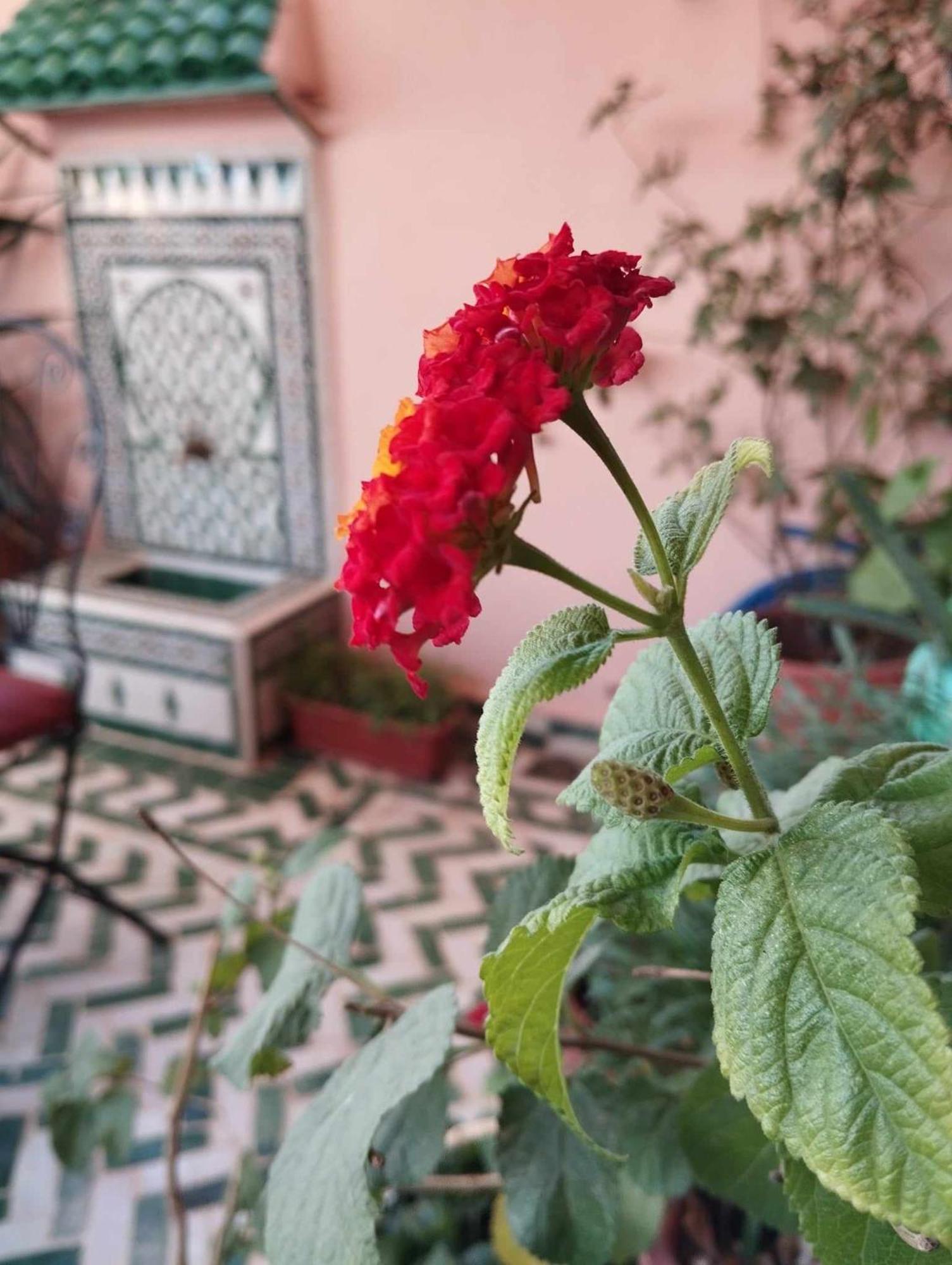 Dar Lantana Fez Exterior foto